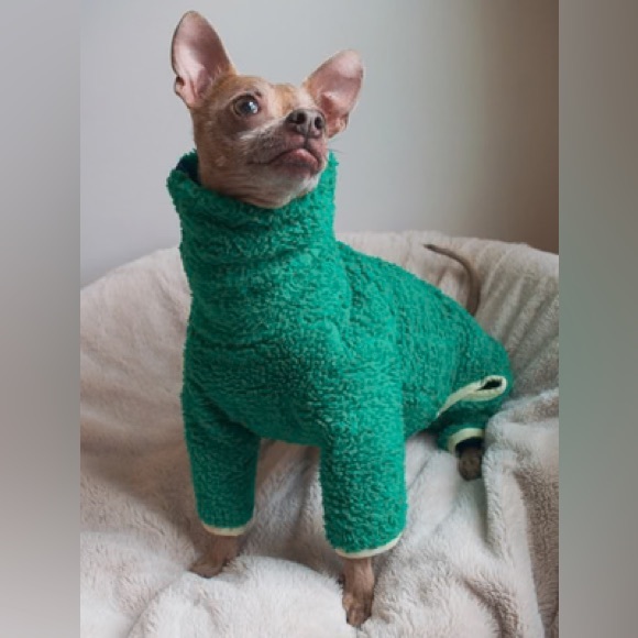 Little Beast Dog Little Beast The Mary Jane Green Fleece Onesie Xs